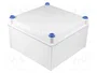 FIBOX QUICK Carcasa Universal Gris 300x300x170mm