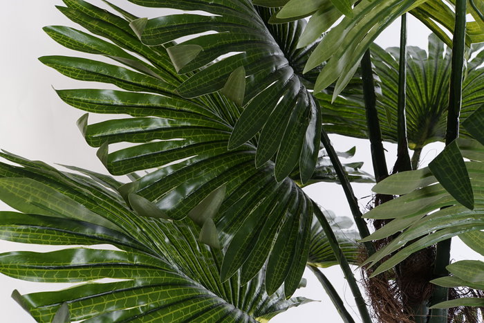DKD Home Decor Planta Tropical Verde Marron PVC/PP 70 x 100 x 80 cm (2 Unidades)