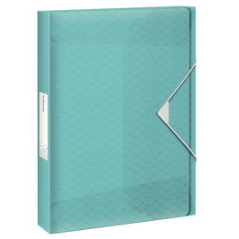 Carpeta De Proyectos Esselte Colour Breeze Pp A4 Gomas 2,5 Cm Azul (Set de 2)