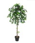 DKD Home Decor Planta PE 60x60x150 Verde y Blanco