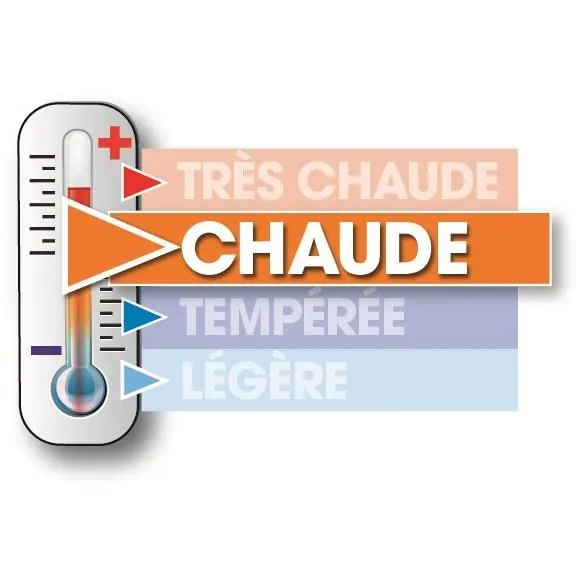 Cocoon Paquete de Ropa de Cama de Microfibra - Edredón Cálido 220x240 cm + 2 Almohadas 60x60 cm Blanco, Fabricación Francesa