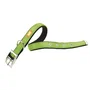 Ferplast Collar Dual CF20 Verde