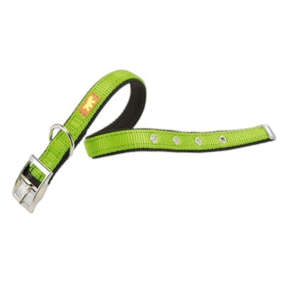 Ferplast Collar Dual CF20 Verde