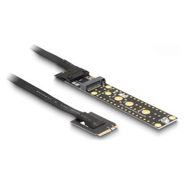 DeLOCK Tarjeta de expansión NVMe M.2 Clave A+E a Clave M con cable de 20 cm