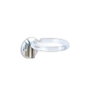 Bifull Portasecador Tidy Transparente