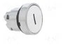 SCHNEIDER ELECTRIC Interruptor de presión Harmony XB4 Blanco 22mm