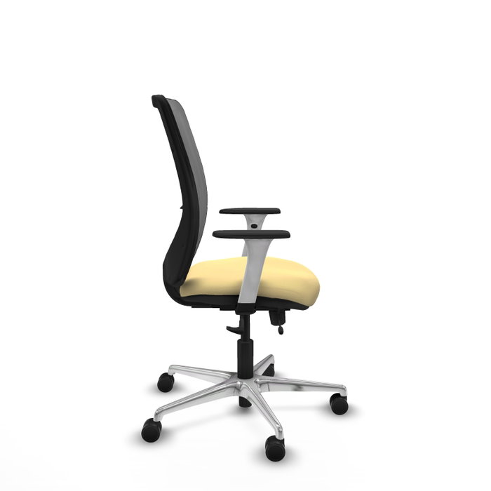 PIQUERAS Y CRESPO Silla de oficina Zulema con mecanismo Sincro/Traslack, Crema y Gris