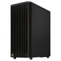 Asus ProArt PA401 Wood Edition Negro