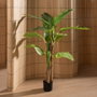 Ixia Planta Platanero Verde de 150 cm
