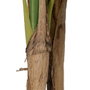Ixia Planta Platanero Verde de 150 cm