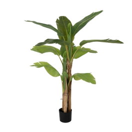 Ixia Planta Platanero Verde de 150 cm