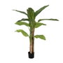 Ixia Planta Platanero Verde de 150 cm