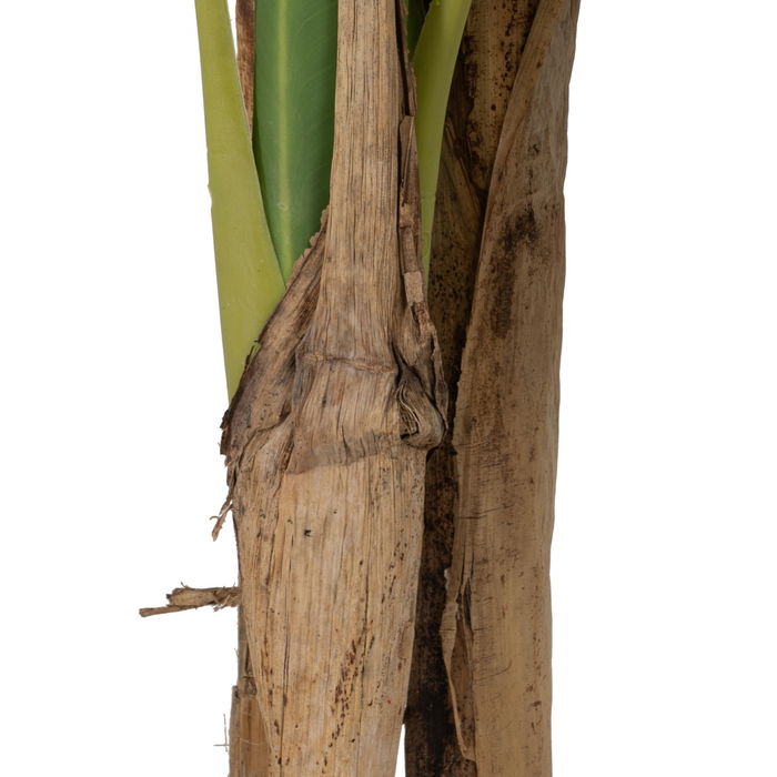 Planta Platanero Verde Goma Decoración 150 cm