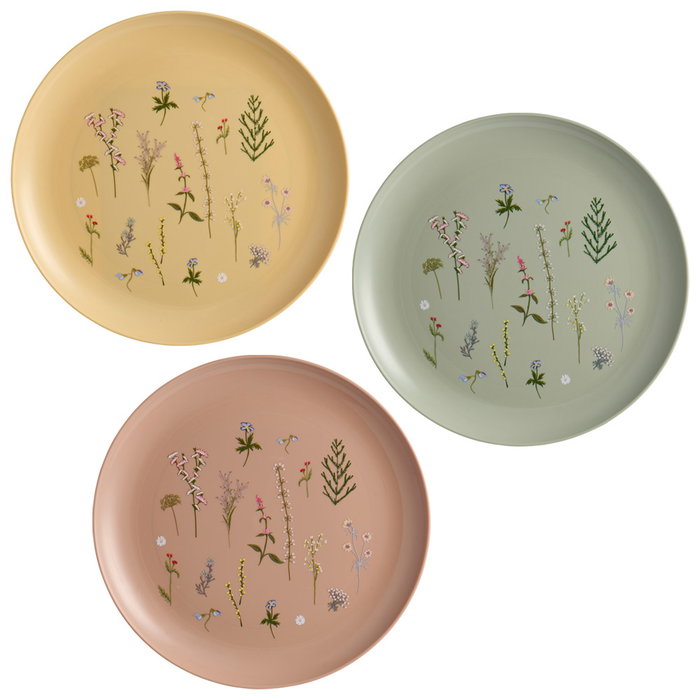 Day Juego de 4 Platos 25 cm Colores Surtidos Arena Natural Verde Musgo Amarillo Arena Ilustraciones de Plantas