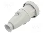 SEZ DK ISG 1632 Enchufe Hembra 16A Azul