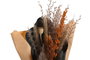 DKD Home Decor Ramo de Flores Secas Surtido de 2 Modelos