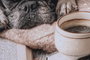DKD Home Decor Cuadro Lienzo MDF Perro Desayuno 40X1,8X60 Surtido de 4