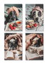 DKD Home Decor Cuadro Lienzo MDF Perro Desayuno 40X1,8X60 Surtido de 4