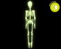 Esqueleto decorativo fluorescente 150 cm para Halloween