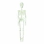 Esqueleto decorativo fluorescente 150 cm para Halloween