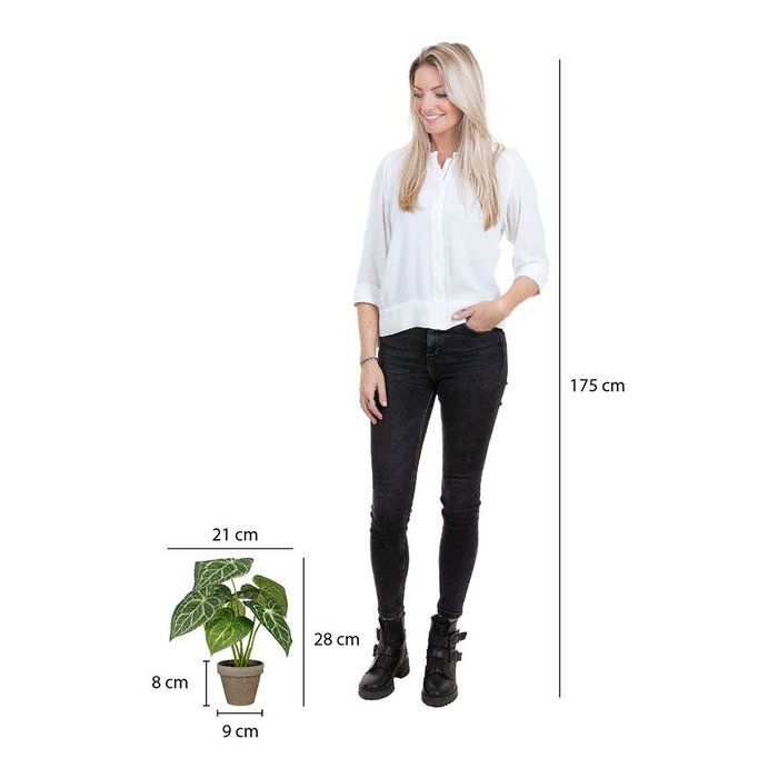 Mica Decorations Maceta Caladium Oreja de Elefante Verde Ø21 x 28 cm Cerámica