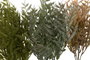 DKD Home Decor Ramas de PE Surtido de 3 Unidades Verde y Marrón