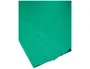 Guarro Cartulina Din A4 Verde amazona 185 g, 50 hojas