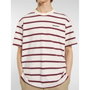 Camiseta de Manga Corta Hombre Dickies York Stripe Ss Blanco 14-16 Años