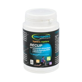 Ergysport Recup