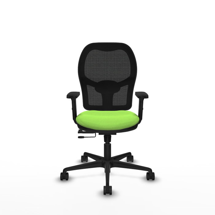 PIQUERAS Y CRESPO Silla de oficina Jorquera con mecanismo Sincro/Traslack, Pistacho y Negro PIQUERAS Y CRESPO Silla de oficina Jorquera con mecanismo Sincro/Traslack, Pistacho y Negro