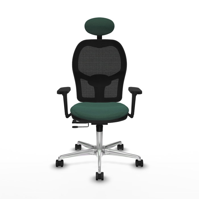 PIQUERAS Y CRESPO Silla de oficina Jorquera con mecanismo Sincro/Traslack, Verde botella y Negro PIQUERAS Y CRESPO Silla de oficina Jorquera con mecanismo Sincro/Traslack, Verde botella y Negro