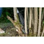Gardena Lopper SlimCut Podadora para Acceso Difícil y Espacios Estrechos con Cabezal de Corte Fino y Doble Potencia Rack
