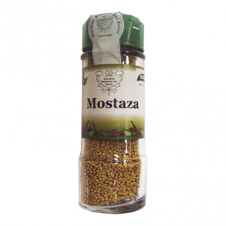 Condimento Mostaza Grano Condimento Mostaza Grano