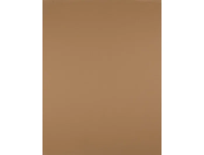 Liderpapel Cartulina Marrón Escolar 180 g 50x65 cm