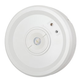 Alumbrado de Emergencia LED 185Lm 3 Horas 0,7W 3,2V 3000mAh