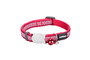 Red Dingo Collar Union Jack Flag On Red 15 mm X 24-36 cm