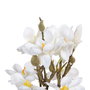Flores Decorativas Blanco Verde 37 x 20 x 41 cm Magnolia