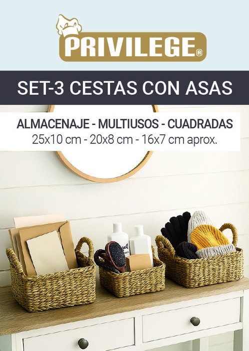 Inde Set 3 Cestas Cuadradas con Asas 25 cm, 20 cm, 16 cm (8 Unidades)
