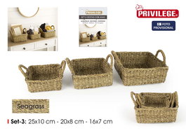 Inde Set 3 Cestas Cuadradas con Asas 25 cm, 20 cm, 16 cm (8 Unidades)