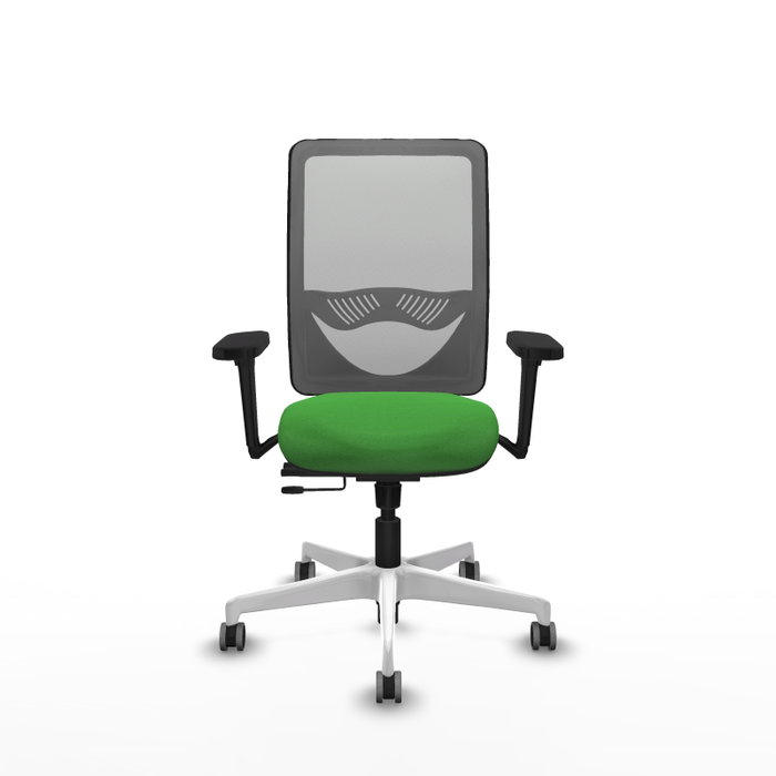 PIQUERAS Y CRESPO Silla de oficina Zulema con mecanismo Sincro/Traslack, Verde y Gris PIQUERAS Y CRESPO Silla de oficina Zulema con mecanismo Sincro/Traslack, Verde y Gris