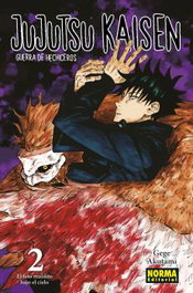 Jujutsu Kaisen, 2, Gege Akutami - Norma Editorial