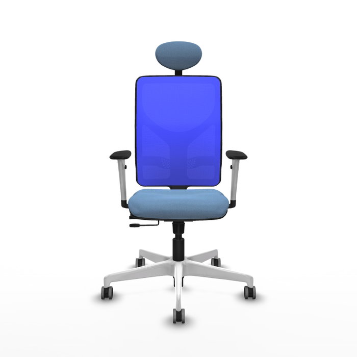 PIQUERAS Y CRESPO Silla de oficina Motilla con mecanismo Sincro/Traslack Azul PIQUERAS Y CRESPO Silla de oficina Motilla con mecanismo Sincro/Traslack Azul