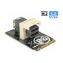 DeLOCK 63918 Adaptador M.2 Key M a SFF-8643 NVMe 2242 horizontal