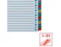 Esselte Separador Numérico 1-31 Juego de 31 Separadores DIN A4 Multitaladro