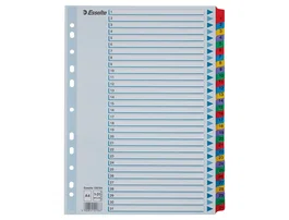 Esselte Separador Numérico 1-31 Juego de 31 Separadores DIN A4 Multitaladro
