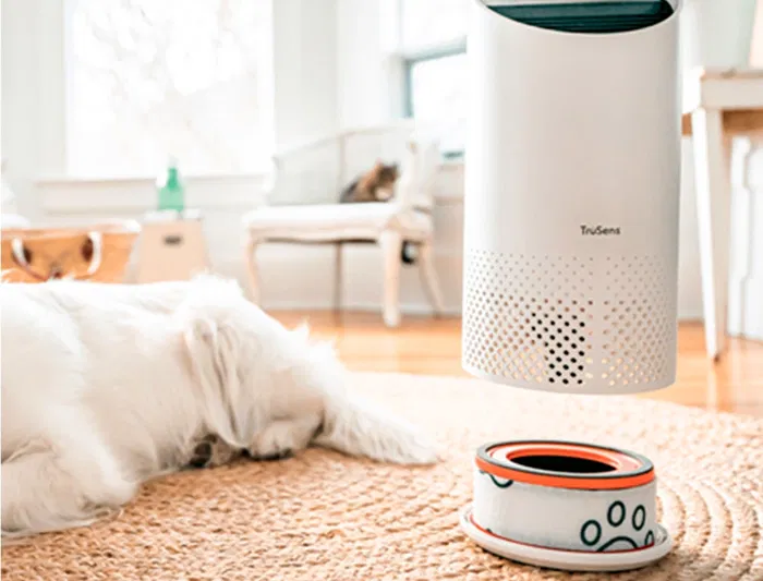 Leitz Filtro de Carbon HEPA Z-1000 para Purificador de Aire Pequeño - Elimina Olores, Alergias, Gripe, Mascotas y COVID