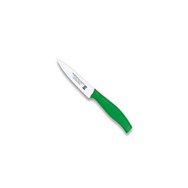 Norplast Cuchillo Patatero Verde para Cocina, Acero Inoxidable con Mango de Plástico, Longitud 10 cm