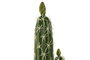 DKD Home Decor Planta Tropical Verde 18 x 12.5 x 54 cm (4 Unidades) Cactus