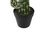 DKD Home Decor Planta Tropical Verde 18 x 12.5 x 54 cm (4 Unidades) Cactus