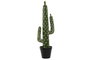 DKD Home Decor Planta Cactus Verde Foam PP